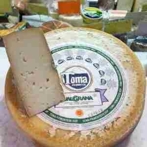 Toma piemontese