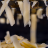 Grana Padano 20 mesi, autentico