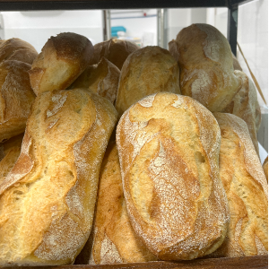 Pane, Ciabatta Media