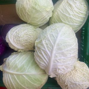 Cavoli Verza