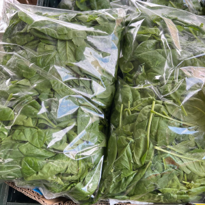 Spinaci in busta